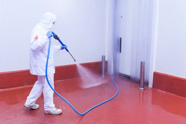 Best Roof Washing  in Newport, SC